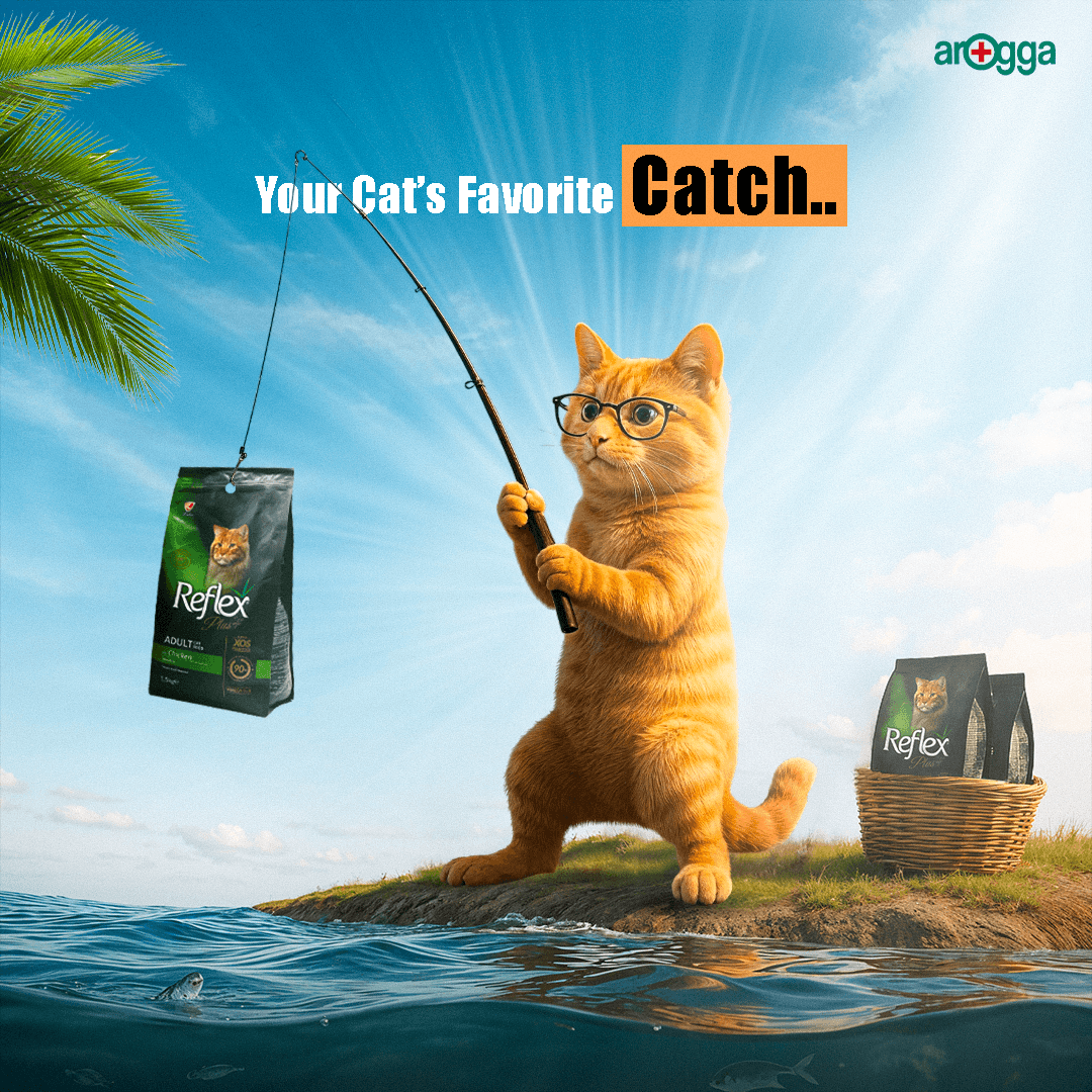Funny cat fishing for Reflex cat food pack – pet food advertisement with playful animation style